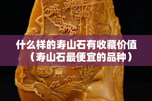 什么樣的壽山石有收藏價值（壽山石最便宜的品種）