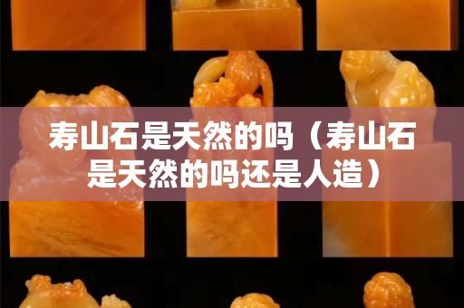 壽山石是天然的嗎（壽山石是天然的嗎還是人造）