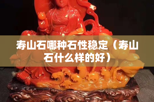 壽山石哪種石性穩定（壽山石什么樣的好）