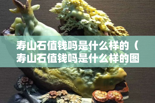 壽山石值錢嗎是什么樣的（壽山石值錢嗎是什么樣的圖片）