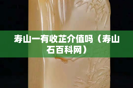 壽山一有收芷介值嗎（壽山石百科網）