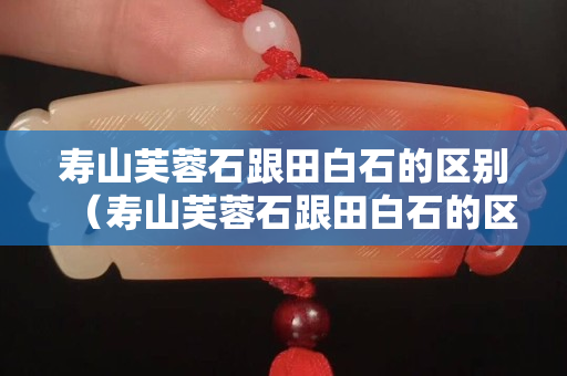 壽山芙蓉石跟田白石的區別（壽山芙蓉石跟田白石的區別是什么）