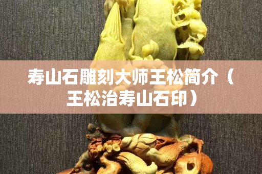 壽山石雕刻大師王松簡(jiǎn)介（王松治壽山石印）