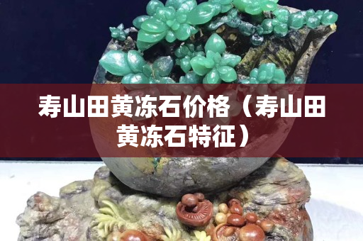 壽山田黃凍石價格（壽山田黃凍石特征）