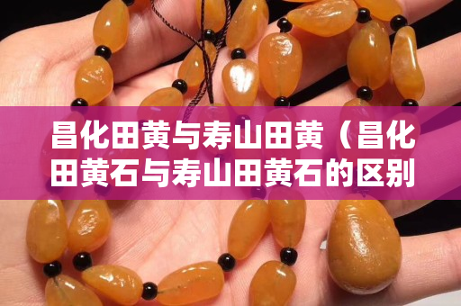 昌化田黃與壽山田黃（昌化田黃石與壽山田黃石的區別）