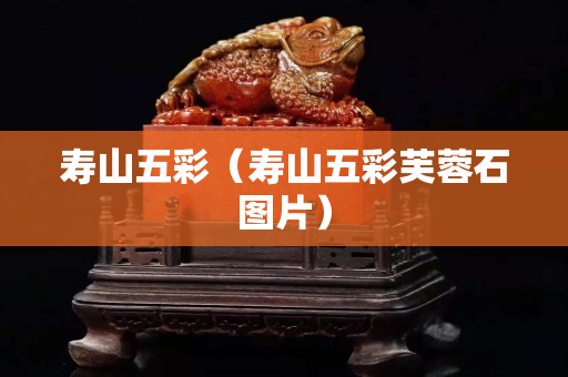 壽山五彩（壽山五彩芙蓉石圖片）