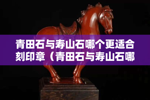 青田石與壽山石哪個(gè)更適合刻印章（青田石與壽山石哪個(gè)更適合刻印章呢）