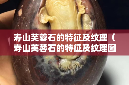 壽山芙蓉石的特征及紋理（壽山芙蓉石的特征及紋理圖片）