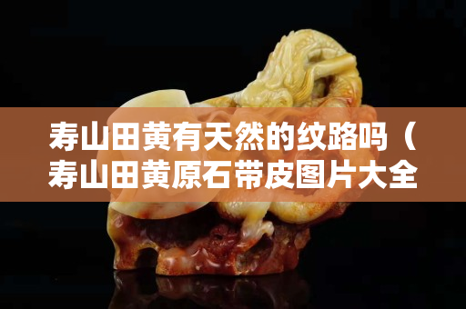 壽山田黃有天然的紋路嗎（壽山田黃原石帶皮圖片大全）