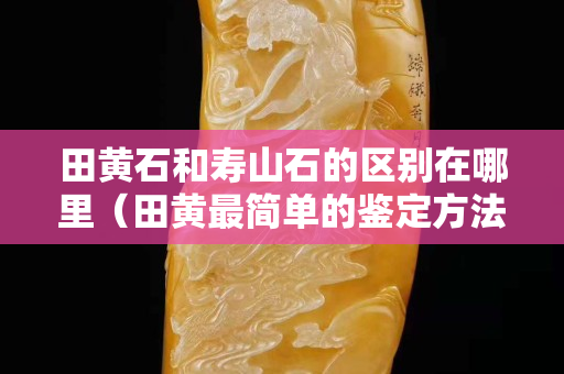 田黃石和壽山石的區別在哪里（田黃最簡單的鑒定方法）