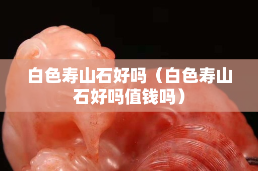 白色壽山石好嗎（白色壽山石好嗎值錢嗎）