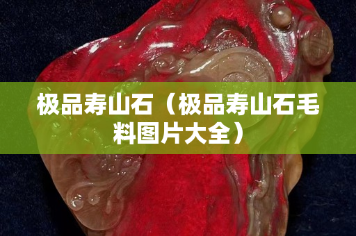 極品壽山石（極品壽山石毛料圖片大全）