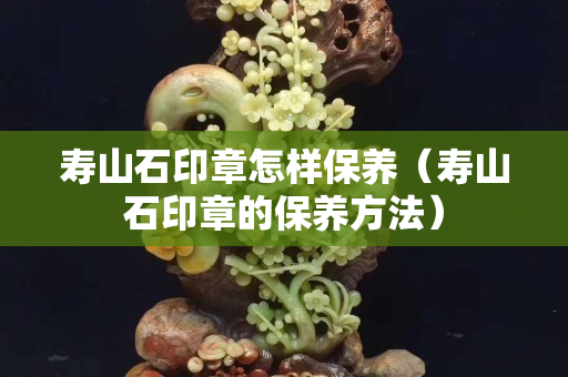 壽山石印章怎樣保養（壽山石印章的保養方法）