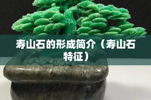 壽山石的形成簡介（壽山石特征）