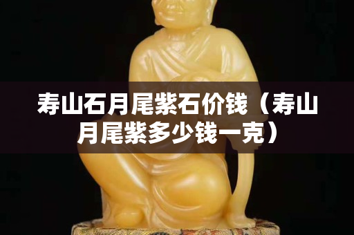 壽山石月尾紫石價錢（壽山月尾紫多少錢一克）