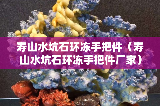 壽山水坑石環凍手把件（壽山水坑石環凍手把件廠家）