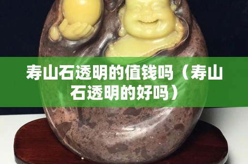壽山石透明的值錢嗎（壽山石透明的好嗎）