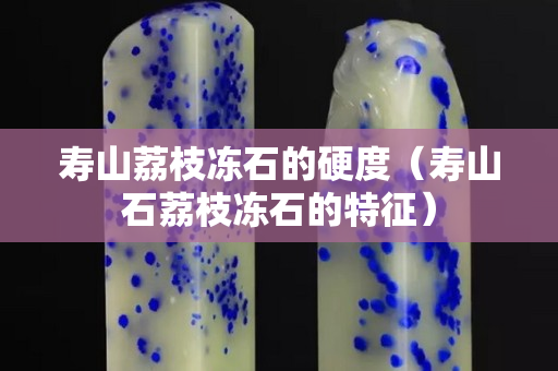 壽山荔枝凍石的硬度（壽山石荔枝凍石的特征）