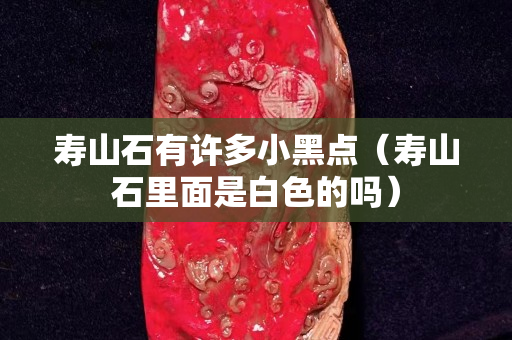 壽山石有許多小黑點(diǎn)（壽山石里面是白色的嗎）