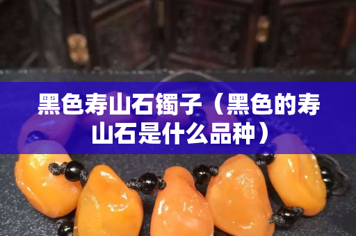 黑色壽山石鐲子（黑色的壽山石是什么品種）
