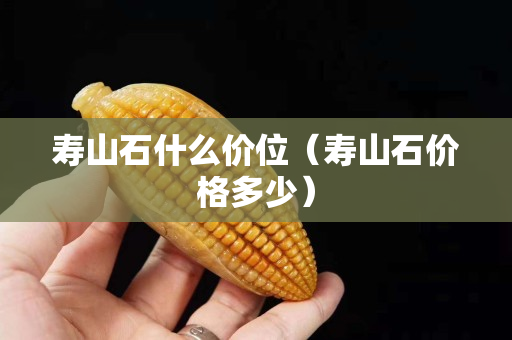 壽山石什么價位（壽山石價格多少）