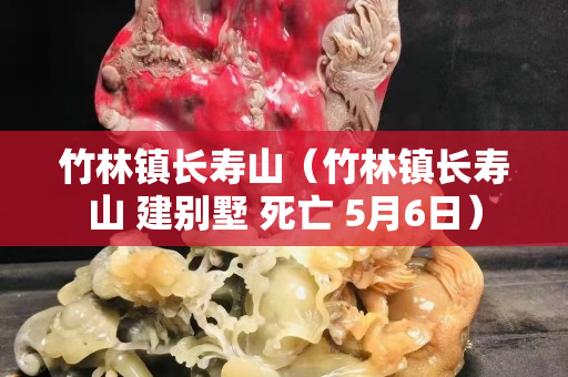竹林鎮(zhèn)長(zhǎng)壽山（竹林鎮(zhèn)長(zhǎng)壽山 建別墅 死亡 5月6日）