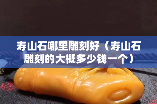 壽山石哪里雕刻好（壽山石雕刻的大概多少錢一個）