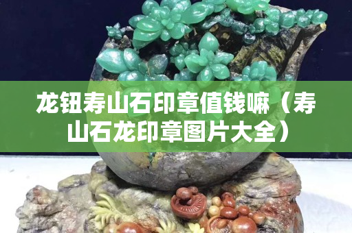 龍鈕壽山石印章值錢嘛（壽山石龍印章圖片大全）