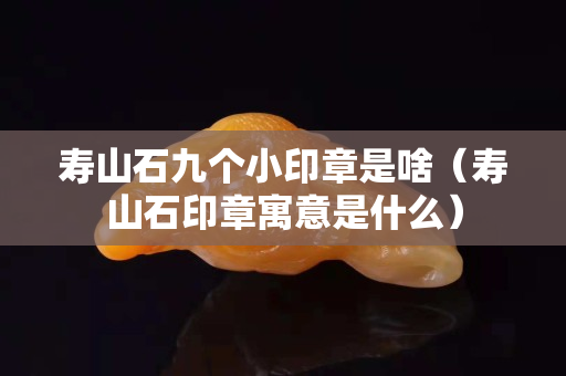 壽山石九個小印章是啥（壽山石印章寓意是什么）