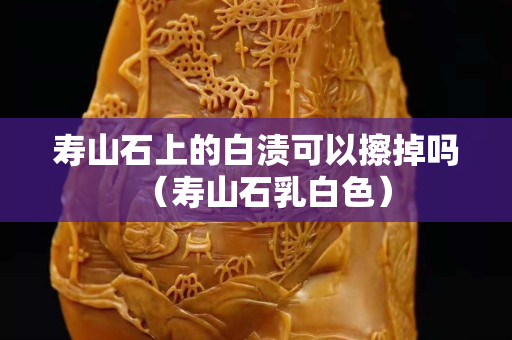 壽山石上的白漬可以擦掉嗎（壽山石乳白色）