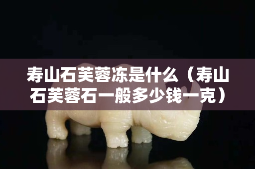 壽山石芙蓉凍是什么（壽山石芙蓉石一般多少錢(qián)一克）