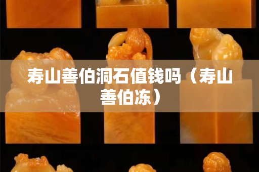 壽山善伯洞石值錢嗎（壽山善伯凍）