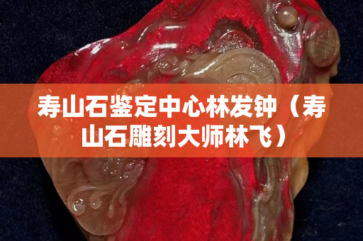 壽山石鑒定中心林發(fā)鐘（壽山石雕刻大師林飛）