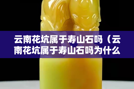 云南花坑屬于壽山石嗎（云南花坑屬于壽山石嗎為什么）