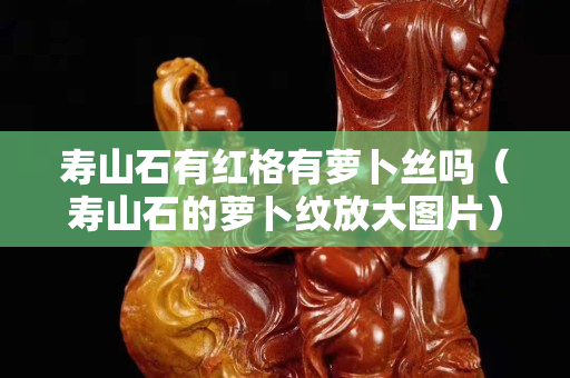 壽山石有紅格有蘿卜絲嗎（壽山石的蘿卜紋放大圖片）