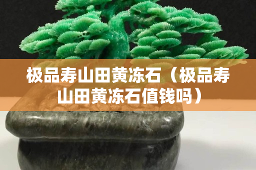 極品壽山田黃凍石（極品壽山田黃凍石值錢嗎）