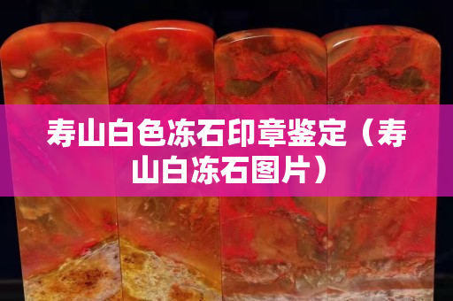 壽山白色凍石印章鑒定（壽山白凍石圖片）