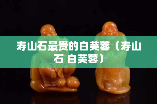 壽山石最貴的白芙蓉（壽山石 白芙蓉）