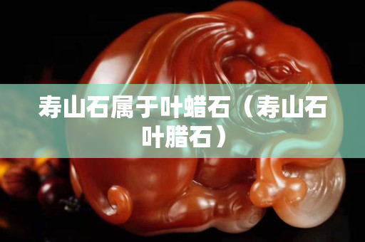 壽山石屬于葉蠟石（壽山石葉臘石）