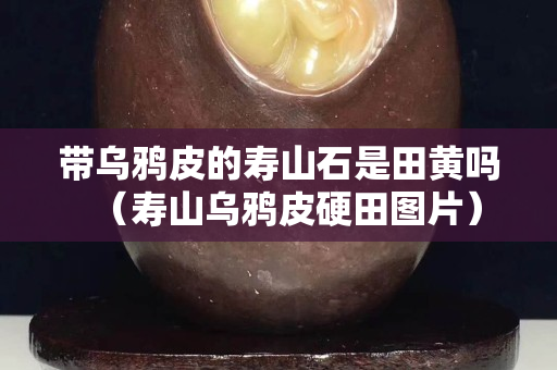 帶烏鴉皮的壽山石是田黃嗎（壽山烏鴉皮硬田圖片）