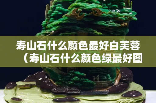 壽山石什么顏色最好白芙蓉（壽山石什么顏色綠最好圖片）