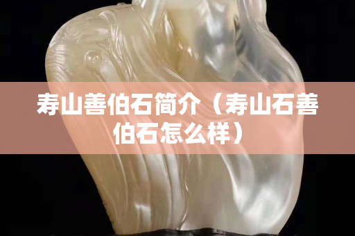 壽山善伯石簡介（壽山石善伯石怎么樣）