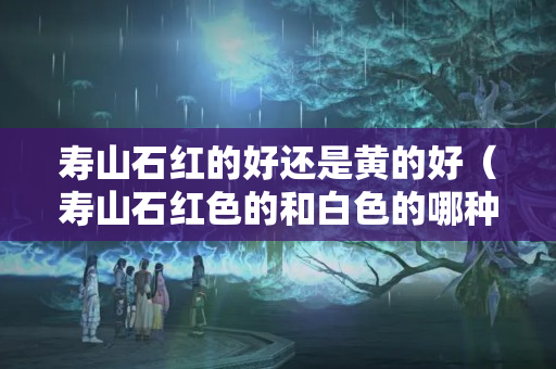 壽山石紅的好還是黃的好（壽山石紅色的和白色的哪種好）
