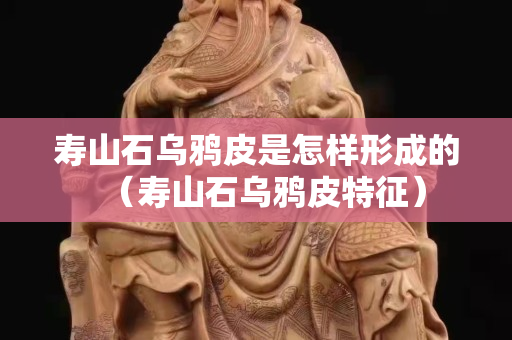 壽山石烏鴉皮是怎樣形成的（壽山石烏鴉皮特征）