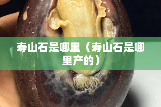 壽山石是哪里（壽山石是哪里產的）