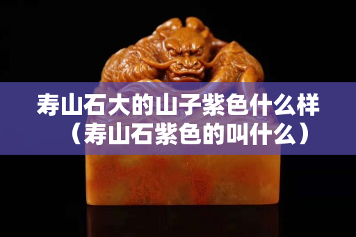 壽山石大的山子紫色什么樣（壽山石紫色的叫什么）