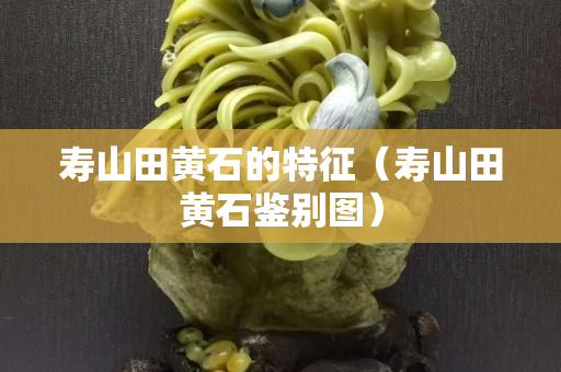 壽山田黃石的特征（壽山田黃石鑒別圖）