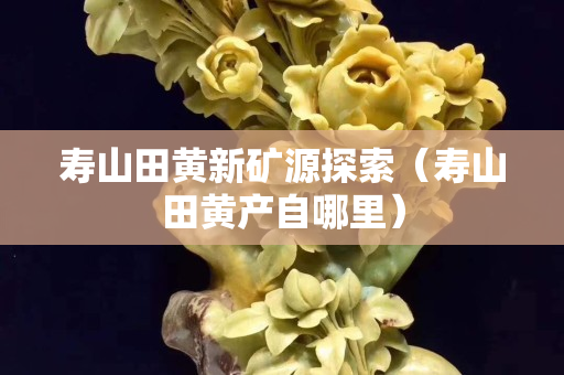 壽山田黃新礦源探索（壽山田黃產(chǎn)自哪里）