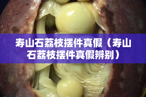 壽山石荔枝擺件真假（壽山石荔枝擺件真假辨別）