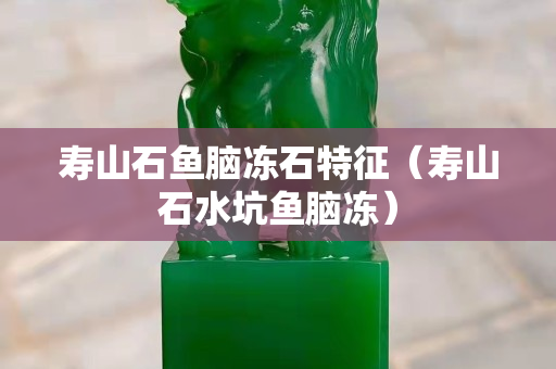 壽山石魚腦凍石特征（壽山石水坑魚腦凍）